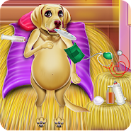 Labrador Quadruplets Caring app icon