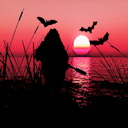 Охота снайпера app icon