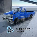 Flexbody Car Crash app icon