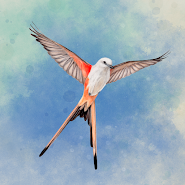 Wingspan: The Board Game app icon