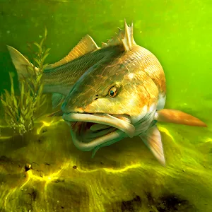 My Fishing World - vv1.16.27