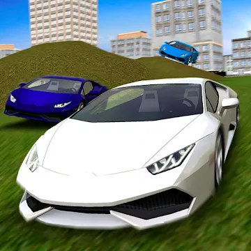 Multiplayer Driving Simulator app icon