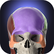 Anatomyka app icon