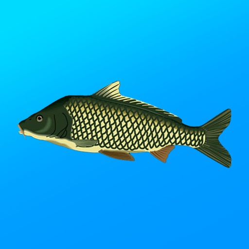 True Fishing app icon