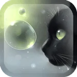Curious Cat app icon