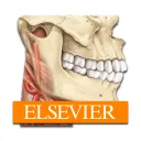 Sobotta Anatomy app icon