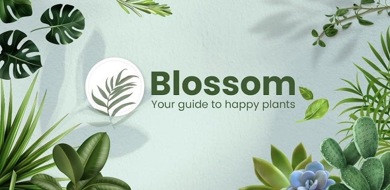 Blossom APK - vv1.56.4