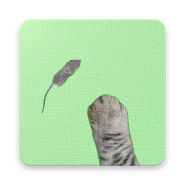 Mice Catch - Cat Game app icon