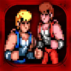 Double Dragon Trilogy app icon