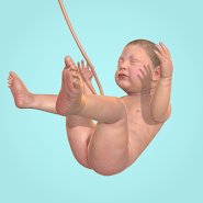 Idle 9 Months - vv1.41.7