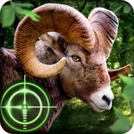 Wild Hunter 3D app icon