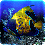 My 3D Fish II app icon