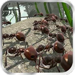 Ant Simulation 3D app icon