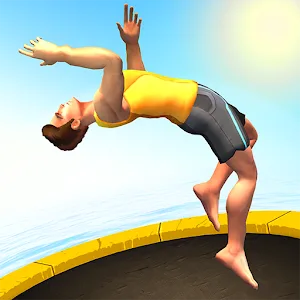 Flip Master - v3.6.00