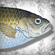 Странное Приключение Голавля app icon