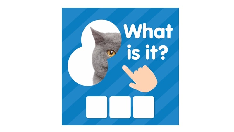 101 Pics APK app icon