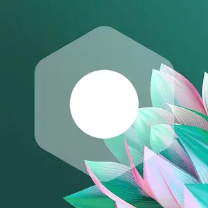 Transparent White - Icon Pack app icon