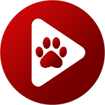 Bear Player - vv2.20.26