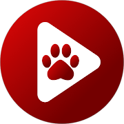 Bear Player app icon