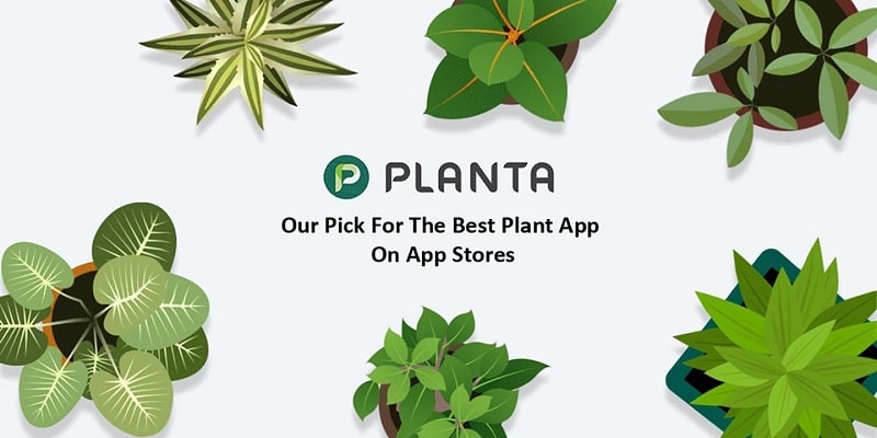Planta APK app icon