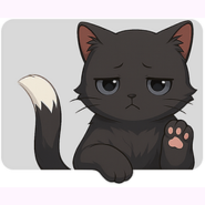 Boxed Cats app icon
