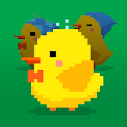 Find Bird - match puzzle app icon