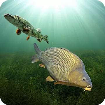 3DCARP app icon