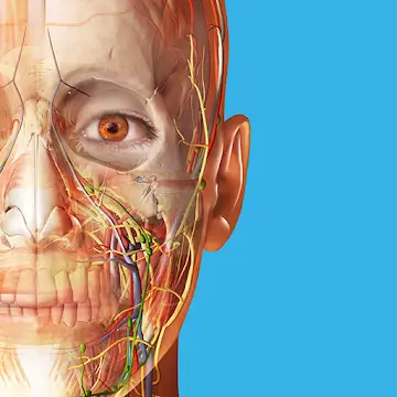 Human Anatomy Atlas 2026 app icon