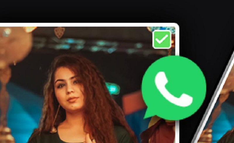 VidStatus APK app icon