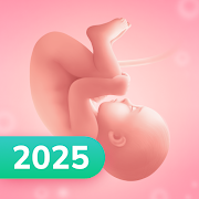 Pregnancy app icon