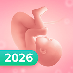 Pregnancy app icon