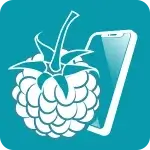 RaspController app icon