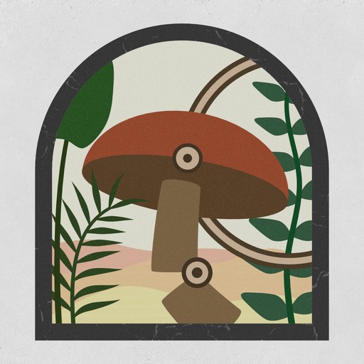 Shape Fold Nature APK app icon
