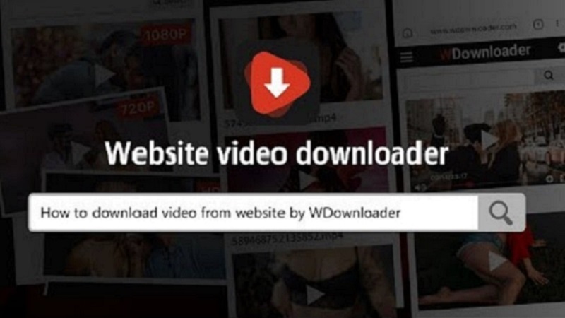 WDownloader APK app icon